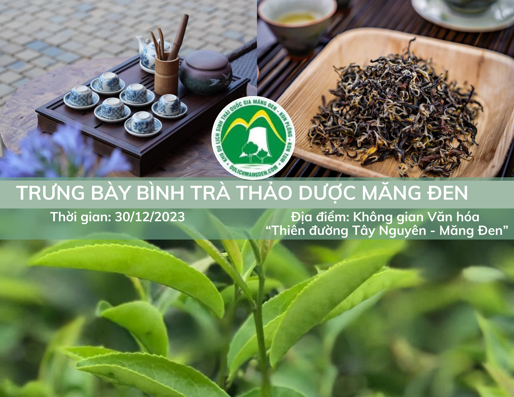 Displaying a pot of Mang Den herbal tea