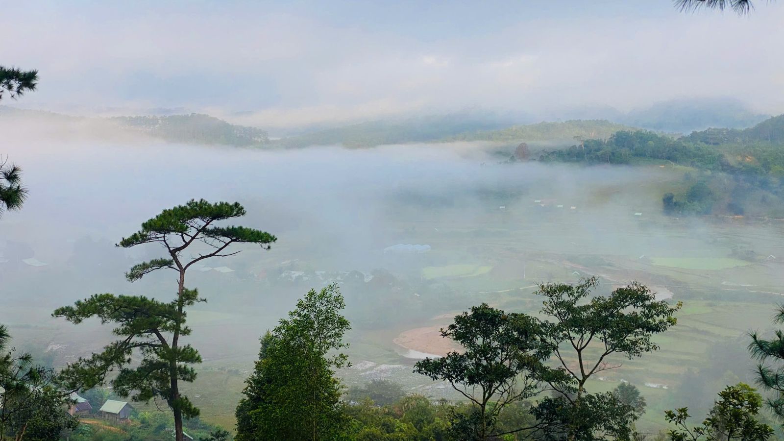 BÀI THƠ MĂNG ĐEN