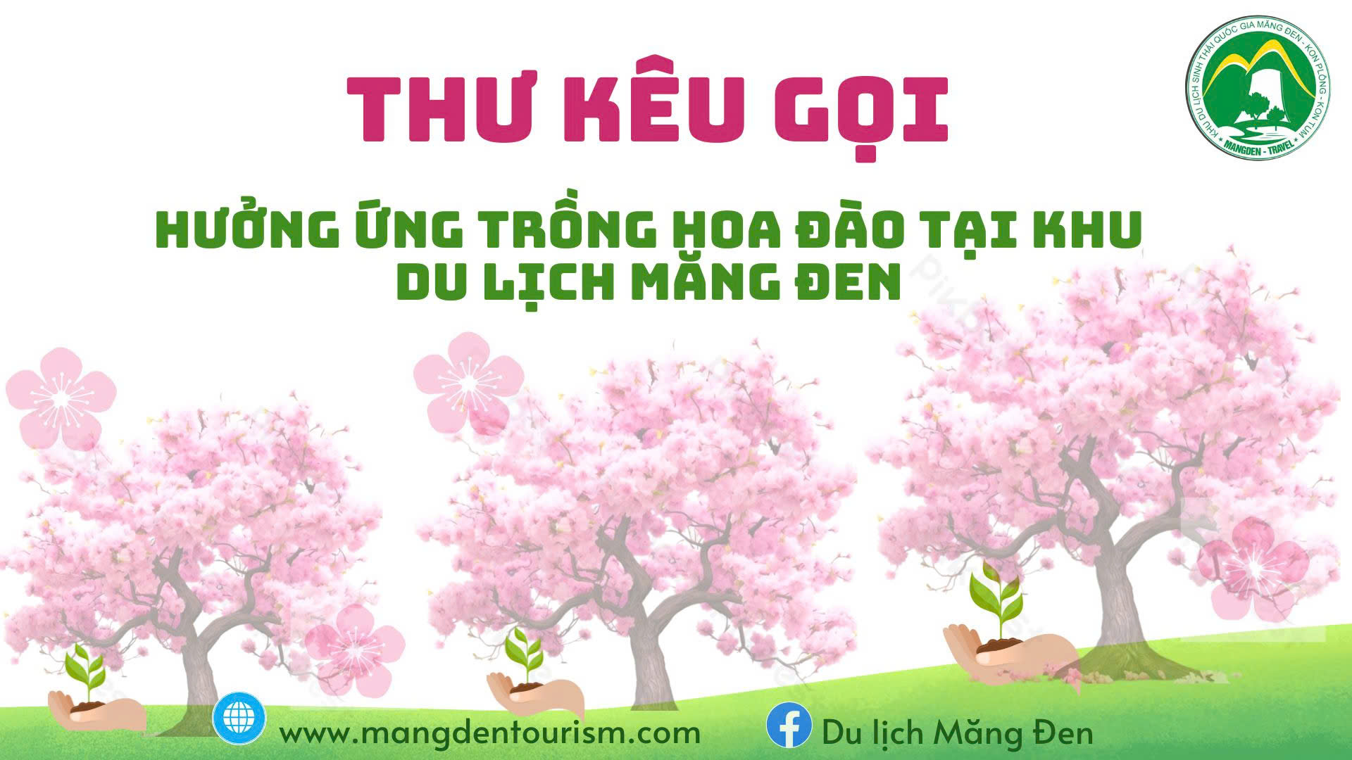 THƯ KÊU GỌI CỦA ỦY BAN NHÂN DÂN HUYỆN KON PLÔNG VỀ HƯỞNG ỨNG TRỒNG HOA ĐÀO TẠI KHU DU LỊCH MĂNG ĐEN.