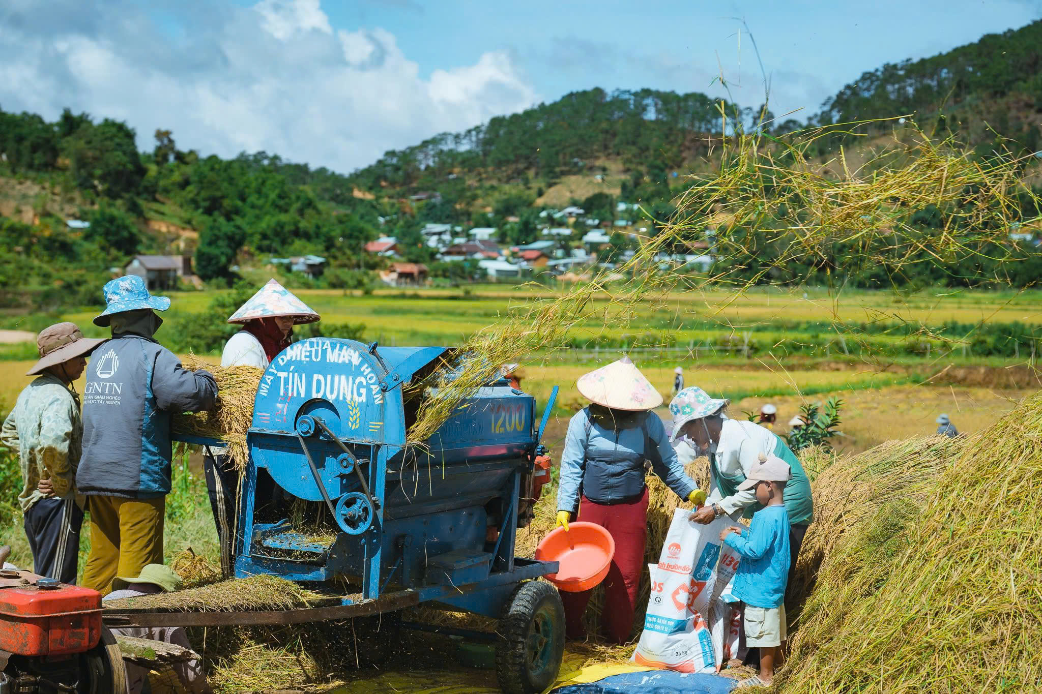 Hạt gạo làng Măng Đen, Khởi đầu cho một hành trình vươn xa